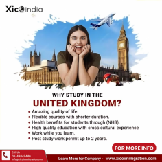 Unlock your potential and shape your future with world-class education offered by UK universities. 