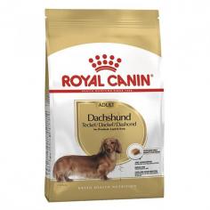 Royal Canin Adult Dachshund Dry Dog Food is the ultimate superfood designed especially for adult Dachshunds to support their unique nutritional needs. Shop Now!
