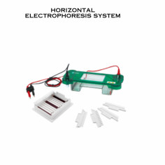  A Horizontal Electrophoresis System is a specialized laboratory instrument used for separating molecules, such as DNA, RNA, or proteins, based on their size and charge.  Designed for user-friendly operation, simplifies the electrophoresis process. 