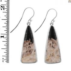 Authentic Petrified Wood Jewelry: The Wood Turned into Stone

Petrified wood, which is also known as a petrified tree, is derived from an ancient Greek word meaning ‘rock’ or ‘stone.’ The literal meaning of petrified wood is, ‘wood turned into stone.’ Petrified wood is a type of fossilized wood with the fossilized remains of terrestrial vegetation. Petrified wood crystal is an organic material created when minerals replace the original wood tissue over time. This mineral replacement process of Petrified wood happens when Adam's ale flows through cracks inside rocks, thus depositing mineral crystals on the surface of the wood. Due to this, tree knots, rings, and other features are preserved while the organic matter decays away.
