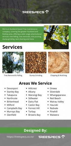 If you are looking for an arborist in Auckland for your business or residential property, you are in the right place. With specialised training as arborists and tree removalists, the team at Treespecs know the most advantageous solution for each tree in your unique commercial, industrial or residential environment.
