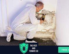 We take great pride in our job and work tirelessly to provide prompt and outstanding customer service. From thorough termite inspections to comprehensive termite treatment to free pest management advice, our team is dedicated to providing the support our clients need. We use cutting-edge technology to create bespoke solutions that are sure to put a smile on your face. Call our friendly team to find out how we can help you.