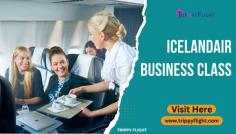Transform your journey into an unforgettable experience with Icelandair Business Class. Enjoy the epitome of luxury with spacious seating, gourmet dining, and personalized service. Elevate your travel standards and arrive at your destination feeling refreshed and pampered. Fly in style with Icelandair Business Class. Book your next flight today!