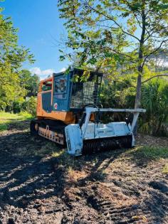Florida Land Clearing Services can transform your overgrown Florida property! We provide professional land clearing solutions for residential and commercial projects. Our services efficiently remove trees, brush, and debris, leaving your land prepped for your dream project. Get a free quote today and see the possibilities! 