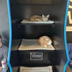 Are you looking for the Best Pet Hotel in Geylang? Then contact them at Happy Rolling Cat Boarding, they offer a relaxing staycation where your feline friend can relax, play & socialize. Their accommodations are designed to prevent anxiety and loneliness, ensuring a lifestyle similar to home. Visit -https://maps.app.goo.gl/nLZwsW92JGx18ce76.