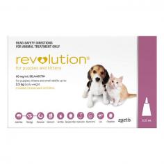 A revolutionary product from the house of Zoetis Revolution is a multi parasitic treatment. It controls heartworm infection along with killing fleas and ear mites. Effective in preventing harmful heartworm disease, Revolution also protects dogs from flea infested diseases and sarcoptic mange. Revolution (Selamectin) treats and controls different worms including hookworms and roundworms. Safe to use on puppies older than 6 weeks of age, Revolution also works well in pregnant and lactating bitches.
