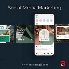 Social Media Marketing 

Ready to revolutionize your brand's online presence? Dive into the future of marketing with BrandLogg! 