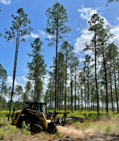 Our professional brush clearing services in Cherokee County, North Carolina can help clear unwanted brush, overgrowth, and debris on your property. Our team of experts uses specialized equipment to ensure that your property is cleared efficiently, safely, and to your satisfaction. Contact us today to schedule a consultation. 
