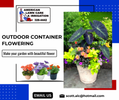 Container Flower Garden Services

Our garden container flower services provide expert care, design, and maintenance for vibrant blooms in your outdoor space. We specialize in personalized arrangements and seasonal enhancements. For more information, mail us at scott.alc@hotmail.com.