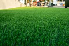 Artificial Grass for Allergy Sufferers: How It Can Improve Indoor Air Quality

For individuals with hay fever in the UK, the spring and summer months typically bring with them an unpleasant array of symptoms such as runny nose and watery eyes. To delve into the details, follow the link and Read More Here.