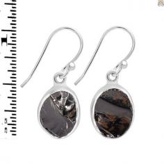 The Rare Beauty of Shungite Earrings


You'll be drawn to the dark and gleaming appeal of the Shungite gemstone, and you'll undoubtedly want to add a Shungite earring or other Shungite jewelry item to your collection of gemstone jewelry. In addition to its distinctive sheen, it is a powerful stone for grounding whose deep, black hue makes it stand out amid crystals of all colors. Technically speaking, Shungite is a mineraloid (like amber or opal) rather than a crystal because of its structural makeup. This does not lessen its enigmatic healing ability, either!