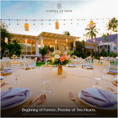 Choosing a location for a destination Thai wedding in Koh Samui is crucial. Partnered with several hotels, Koh Samui Weddings offer beautiful vistas of the sea and sandy shores. We can transform any setting into a memorable wedding destination as a full-service wedding planning company.

See more: https://www.gardenofedenthailand.com/