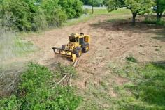 Are you looking for top-rated land clearing services in South Carolina? Our team and experienced crews cover the entire state, offering site preparation, right-of-way clearing, commercial site development, forestry mulching, and more. Contact us today to see how we can assist you!