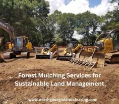 Revitalize your land sustainably with our expert Forest Mulching Services near Cumming GA. Our team specializes in precision mulching techniques to clear overgrown areas, reduce fire hazards, and promote healthier ecosystems. Transform your property efficiently and responsibly with our eco-friendly solutions today!