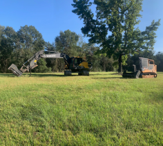 Discover the best forestry mulching services near me in Lacombe, with LOUISIANA LAND CLEARING! Enhance your property's appeal and safety with our professional land clearing solutions. Transform your land efficiently and sustainably. Experience top-quality results today!