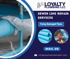 Repair Your Damaged Sewer Line Solution

We use cutting-edge technology and efficient methods to get your system up and running quickly. Our trained team ensures a long-lasting and durable open drain system. Send us an email at info@loyaltyplumbingllc.com for more details.