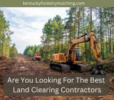 Are You Looking For The Best Land Clearing Contractors in Kentucky?

If you need land clearing services and want the best land-clearing contractors in Kentucky
look no further than our experienced team. With top-of-the-line equipment and exceptional expertise, we guarantee efficient and thorough clearing services that meet your specific needs. Contact us today for a quote and get started on your project!

Visit this link for more information: 
https://kentuckyforestrymulching.com/