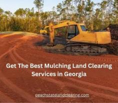 Revamp your land with our top-tier mulching and land clearing services in Georgea. Our expert team ensures efficient and eco-friendly solutions to give your property a fresh start. Trust us to transform your space into a pristine haven and promote healthy growth with our efficient and eco-friendly land clearing solutions today.

Visit this link for more information:
https://peachstatelandclearing.com/land-clearing-services-gordon-georgia/
