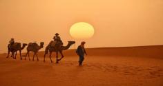 Sunset Camel Ride Marrakech

Enjoy the Sunset camel ride Marrakech at a pocket-friendly budget. We at Morocco Authentic Experience offer the best sunset camel ride experience that can perfectly match your expectations. 

Visit us: https://moroccoauthenticexperience.com/overnight-in-sahara-desert-camel-trek/