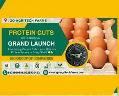 "Unlocking Nutritional Excellence: Introducing Protein Cuts' Farm Fresh Eggs!"

Join the Protein Cuts Family Today!

With Protein Cuts' Farm Fresh Eggs, embark on a culinary adventure where taste meets nutrition in perfect harmony. Whether scrambled, poached, or baked into delectable treats, our eggs promise to elevate every meal with their unmatched quality and flavour.
Unlock the potential of wholesome nutrition with Protein Cuts. Try our Farm Fresh Eggs today and savor the difference!

To Know More Contact Us
Ph: 8925969888, 8925830492
Insta: https://www.instagram.com/igoproteincuts/ 
Fb: https://www.facebook.com/igoproteincuts/ 