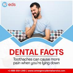 Dental Facts | Emergency Dental Service

Did you know toothaches can be more painful when lying down?  It's true! That is why Emergency Dental Service is here to assist you. Our expert dental specialists are ready 24/7 to assist you with any dental emergency. We're here to make you feel better and get you back to smiling as soon as possible.  Schedule an appointment at 1-888-350-1340.