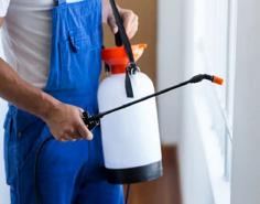 We are a reputable team of Gold Coast termite inspectors that are well-known for our professionalism and dependability. Our continued success in projects has allowed us to continue our legacy by providing quality services at competitive rates. Integrity, transparency and honesty are the core values that guide our family business. As we expand, we assure you that client satisfaction will remain a key focus for our organisation.
