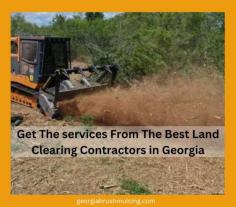 Transform your land with the expertise of premier land clearing contractors in Georgia. From forestry mulching to excavation, we offer top-notch services tailored to your needs. Our skilled team utilizes state-of-the-art equipment to efficiently clear your property, ensuring optimal results with minimal environmental impact. Contact us today for a consultation.

Visit this link for more information:
https://georgiabrushmulching.com/