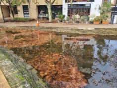 CLEAR WATERWAYS & WETLANDS
Aquatic weed removal in lakes and water bodies in Perth, Western Australia.Our business emerged from a passion for Perth’s environment. Our owners and partners want to see Perth environs free from pollution and thriving with aquatic life.
https://clearwaterwaysandwetlands.com.au/