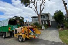 Choosing us for tree removal in Knox means working with a reliable, professional, and fully insured team. Our certified arborists follow industry standards and proven techniques to ensure every tree removal is completed safely, efficiently, and with minimal disruption to your property. We provide 24/7 emergency tree removal services for hazardous or storm-damaged trees, giving you fast access to professional assistance when needed. From initial consultation and planning to the safe removal of trees and complete site cleanup, we maintain clear communication, keeping you informed at every stage of the project.