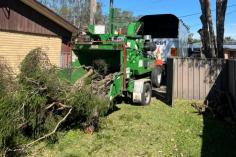 Safety is central to our process, with strict protocols protecting both your property and our team. Beyond removal, we aim to maintain the beauty and health of your landscape, keeping the environment in mind throughout the work. We offer transparent communication, ensuring you are informed every step of the way. In addition, we remain cost-conscious without compromising quality. We guarantee professional results, a smooth experience, and trees managed safely, responsibly, and with care.