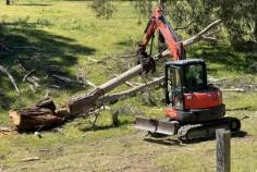 Tree removal is a highly specialised trade that requires skill, training, and precision. At Expert Tree Removal, our licensed and insured team has years of experience handling even the most challenging jobs. From small residential removals to large-scale commercial projects, we utilise advanced methods such as felling, climbing, and crane-assisted removal to manage trees of all sizes. Tree trimming is just as necessary as removal. Regular trimming not only enhances the aesthetic appeal of your trees but also prevents potential hazards, such as falling limbs or interference with power lines.